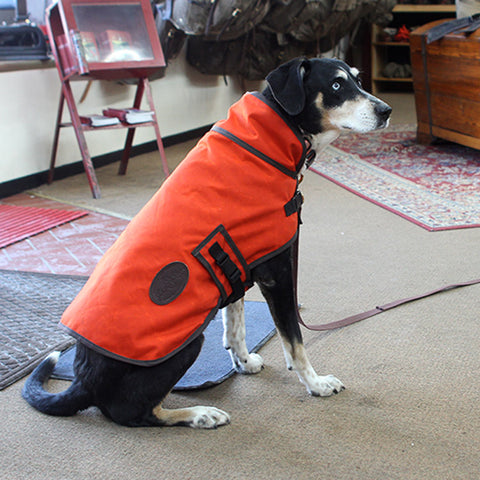 Handcrafted to fit most mid-sized dogs.